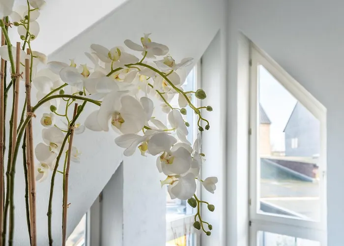 ツア クローネ ホテル 3*